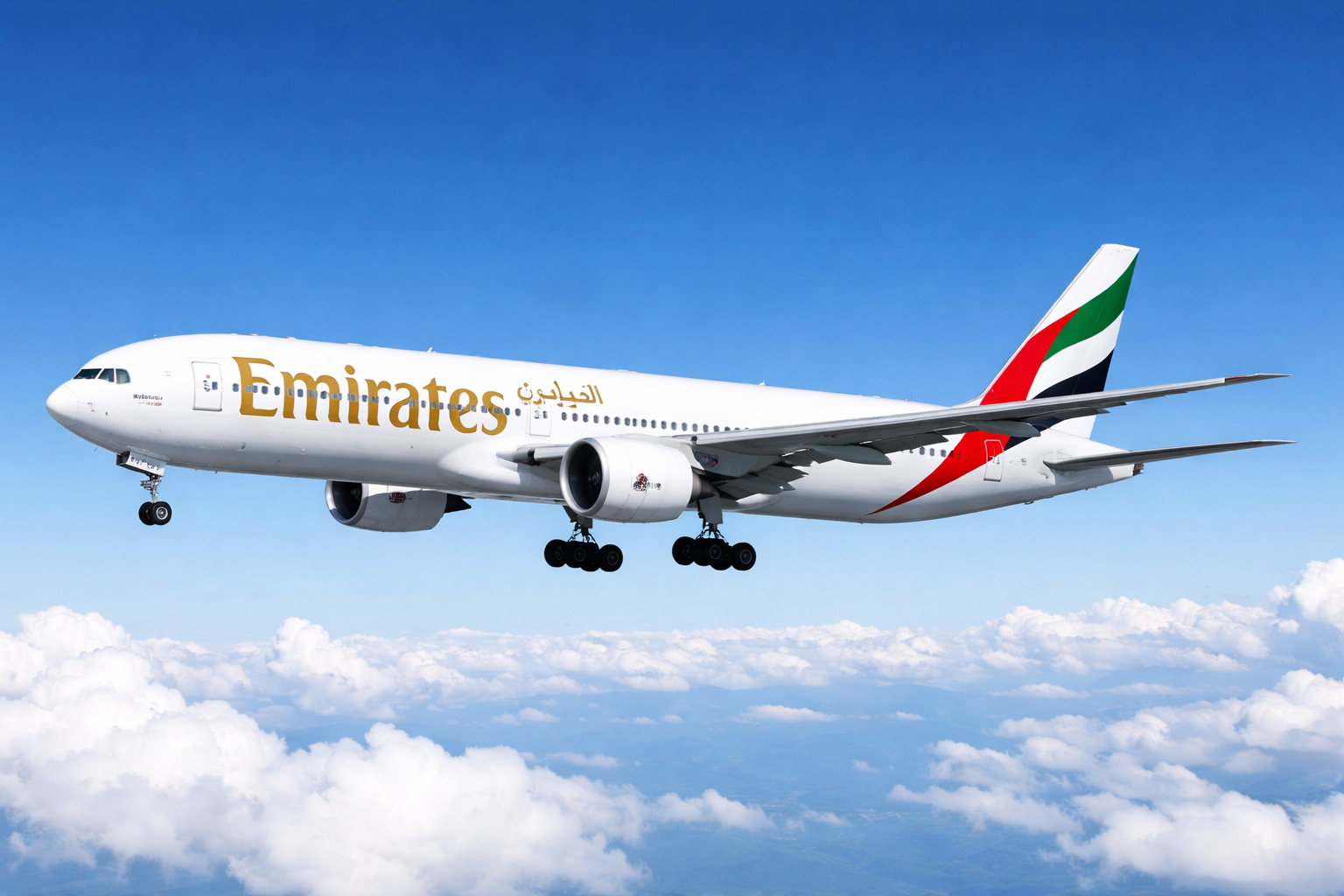 https://www.cocoawonderland.co.uk/profile/flyairlinespolicy/profile